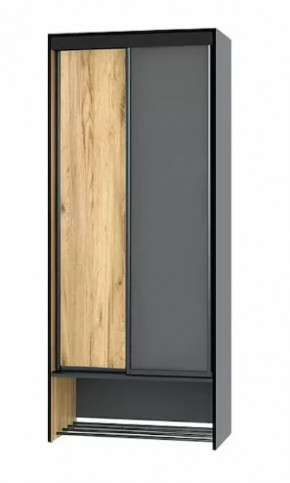 Шкаф-купе без зеркала Ольга-Лофт 10.1 в Советском - sovetskij.mebel-tymen.ru | фото