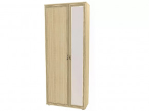 Шкаф многоцелевой ШК-1032 Карина в Советском - sovetskij.mebel-tymen.ru | фото