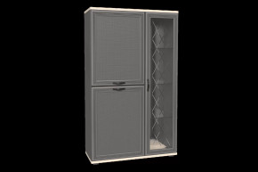 Шкаф многоцелевой ШК-1082 Карина в Советском - sovetskij.mebel-tymen.ru | фото