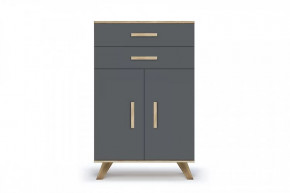 Шкаф низкий "Вега Скандинавия" Дуб каньон/Силк флай в Советском - sovetskij.mebel-tymen.ru | фото