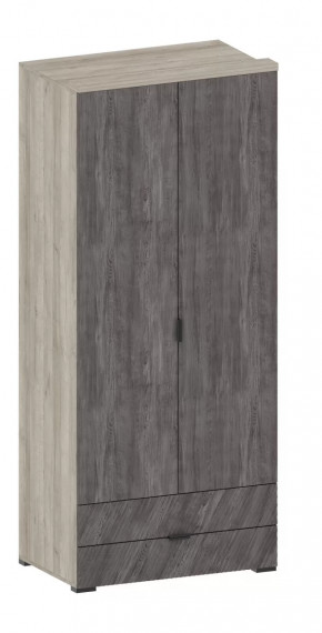 Шкаф Шаде ШК-2905 в Советском - sovetskij.mebel-tymen.ru | фото