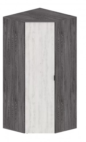 Шкаф Шаде ШК-2910 в Советском - sovetskij.mebel-tymen.ru | фото