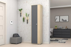 Шкаф ШК-01 Монако в Советском - sovetskij.mebel-tymen.ru | фото