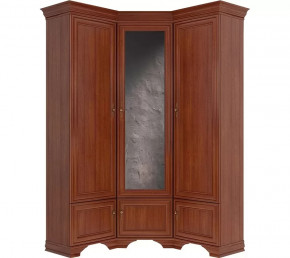 Шкаф угловой Kentaki S320-SZFN5D каштан в Советском - sovetskij.mebel-tymen.ru | фото