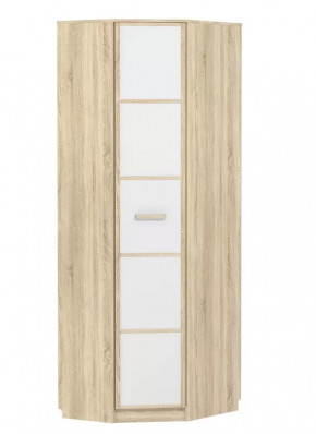 Шкаф угловой НМ 013.04-02 М Фанк в Советском - sovetskij.mebel-tymen.ru | фото