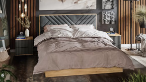 Спальный гарнитур «Хилтон» стандартный Дуб Крафт золотой, Графит матовый в Советском - sovetskij.mebel-tymen.ru | фото