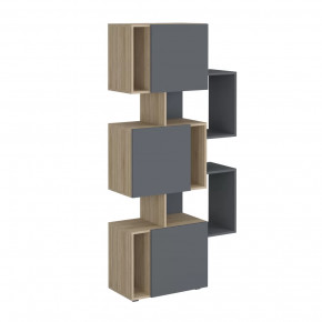 Стеллаж Дублин в Советском - sovetskij.mebel-tymen.ru | фото