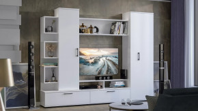 Стенка «Дакота» Белый Ясень в Советском - sovetskij.mebel-tymen.ru | фото