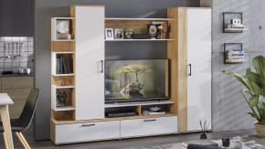 Стенка «Дакота» Дуб Крафт золотой, Белый Ясень в Советском - sovetskij.mebel-tymen.ru | фото