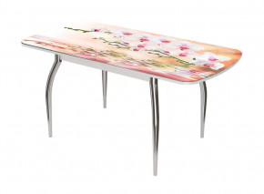 Стол Бостон-3 раздвижной, фотопечать Орхидея на воде/белый/хром триумф в Советском - sovetskij.mebel-tymen.ru | фото