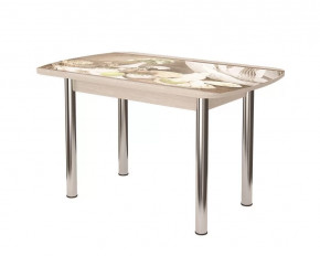 Стол Бостон, ф/п Прованс, 900*600мм, дуб атланта/опоры брифинг в Советском - sovetskij.mebel-tymen.ru | фото