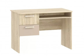 Стол для компьютера НМ 009.19-05 М2 Акварель в Советском - sovetskij.mebel-tymen.ru | фото