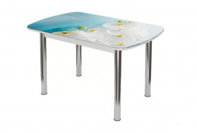 Стол овальный Бостон-2 Белая орхидея, 1100*700 мм, хром брифинг в Советском - sovetskij.mebel-tymen.ru | фото