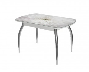 Стол овальный Бостон Флоренс, белый/фотопечать/хром триумф в Советском - sovetskij.mebel-tymen.ru | фото