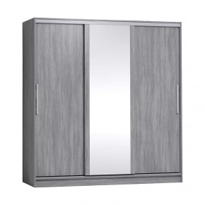 Strike 2000 Шкаф-купе зеркало/лдсп в Советском - sovetskij.mebel-tymen.ru | фото