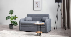 Тео (120) Диван-кровать Danco 995 (серый) арт. ТД 909 в Советском - sovetskij.mebel-tymen.ru | фото