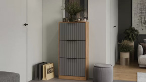 Тумба для обуви «Хилтон» Дуб Крафт золотой, Графит матовый в Советском - sovetskij.mebel-tymen.ru | фото