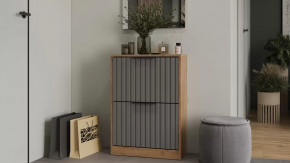 Тумба для обуви «Хилтон» Исп.2 Дуб Крафт золотой, Графит матовый в Советском - sovetskij.mebel-tymen.ru | фото