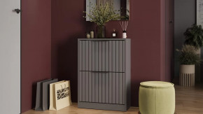 Тумба для обуви «Хилтон» Исп.2 Серый графит, Графит матовый в Советском - sovetskij.mebel-tymen.ru | фото