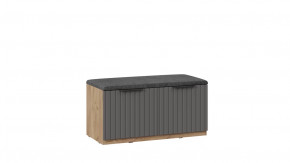 Тумба для обуви «Хилтон» Исп.2.2 Дуб Крафт золотой, Графит матовый в Советском - sovetskij.mebel-tymen.ru | фото