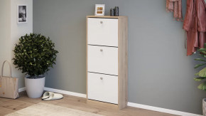 Тумба для обуви «Тетра» Тип 1 Исп. 2 в Советском - sovetskij.mebel-tymen.ru | фото