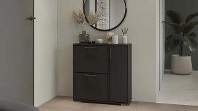 Тумба для обуви Тип 15 Антрацит в Советском - sovetskij.mebel-tymen.ru | фото