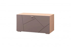 ТВ тумба Скайлайн, дуб сонома светлый/графит в Советском - sovetskij.mebel-tymen.ru | фото