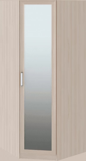 Волкер подростковая М01 Шкаф угловой в Советском - sovetskij.mebel-tymen.ru | фото